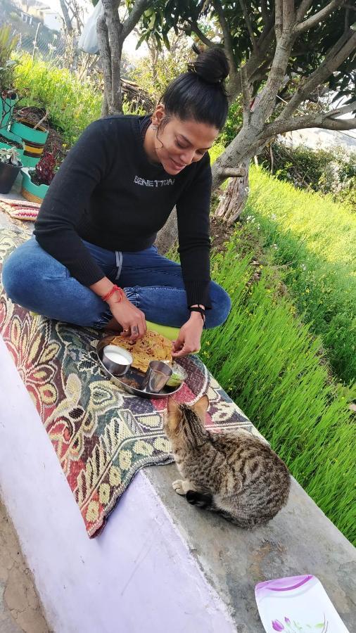 Dwarahat Village Farmstay- Babaji'S Cave Eksteriør bilde